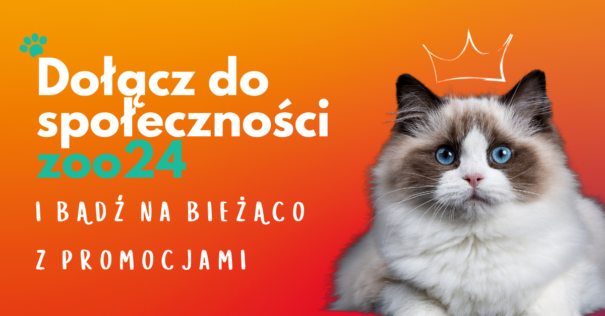 dołącz do newslettera zoo24.pl i bądź na bieżąco z promocjami